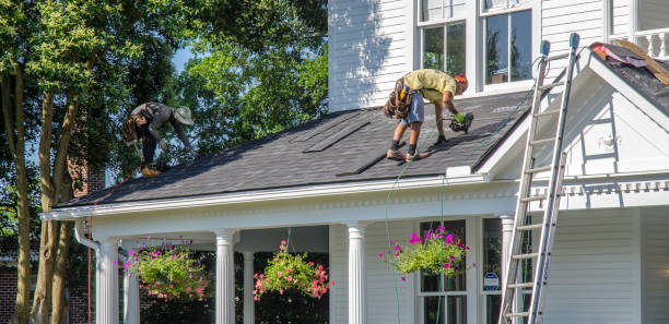 Best Gutter Installation and Roofing  in Ozona, TX