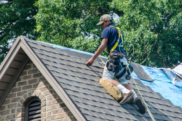 Best Roof Gutter Cleaning  in Ozona, TX