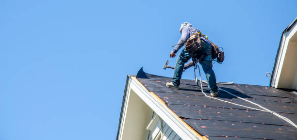 Best Roof Maintenance Services  in Ozona, TX
